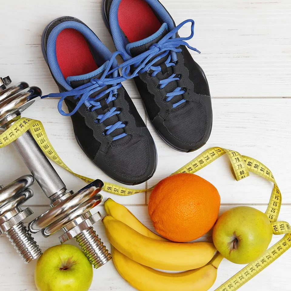Alimentos y material de entrenamiento.