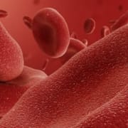 Que son los hematocritos y como influyen en el rendimiento deportivo