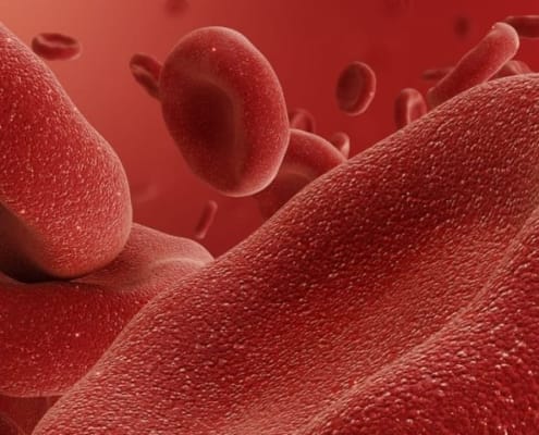 Que son los hematocritos y como influyen en el rendimiento deportivo
